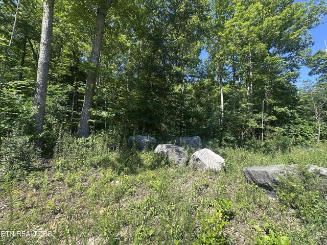 1020 Tomahawk Rd, Jamestown, TN 38556