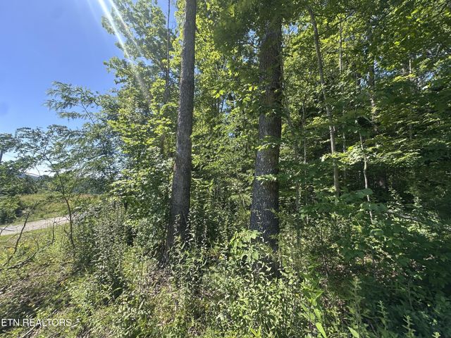 1020 Tomahawk Rd, Jamestown, TN 38556