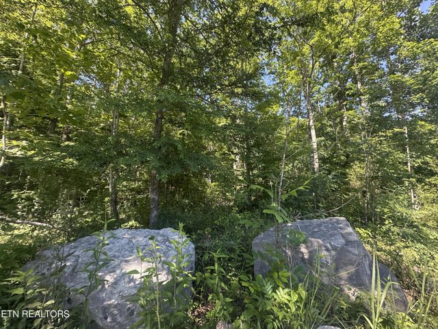 1020 Tomahawk Rd, Jamestown, TN 38556