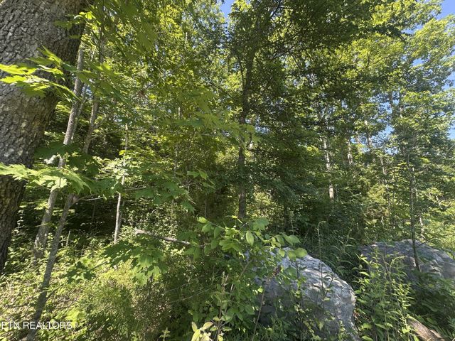 1020 Tomahawk Rd, Jamestown, TN 38556