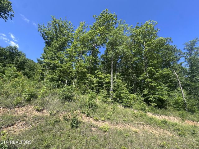 1020 Tomahawk Rd, Jamestown, TN 38556