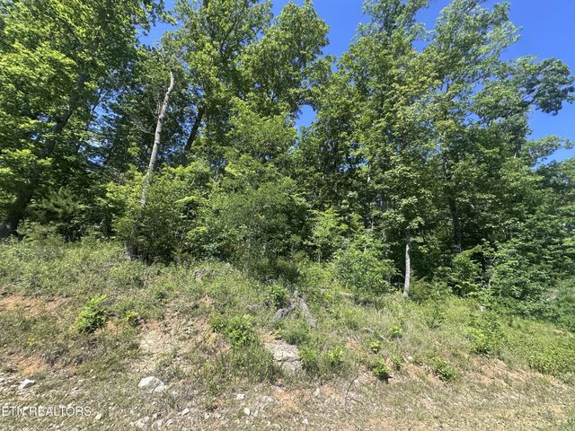 1020 Tomahawk Rd, Jamestown, TN 38556