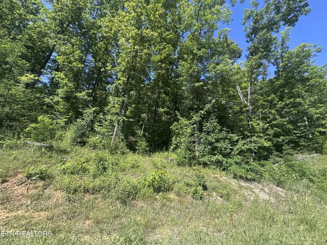 1020 Tomahawk Rd, Jamestown, TN 38556