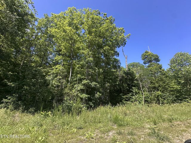 1020 Tomahawk Rd, Jamestown, TN 38556