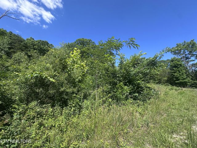 1020 Tomahawk Rd, Jamestown, TN 38556