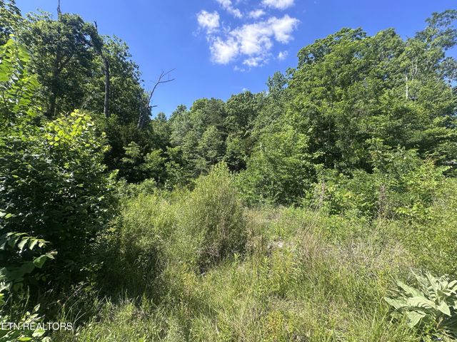1020 Tomahawk Rd, Jamestown, TN 38556