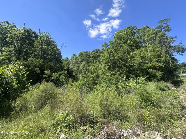 1020 Tomahawk Rd, Jamestown, TN 38556