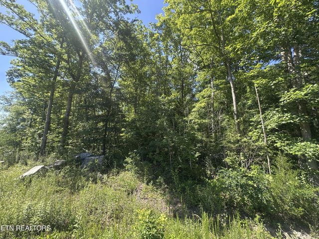 1020 Tomahawk Rd, Jamestown, TN 38556
