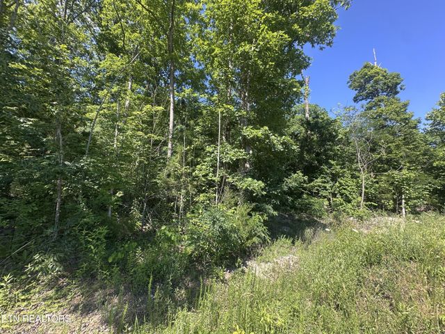 1020 Tomahawk Rd, Jamestown, TN 38556