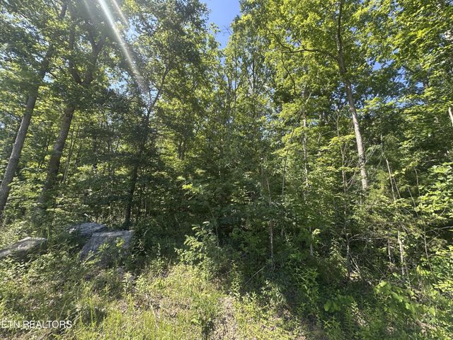 1020 Tomahawk Rd, Jamestown, TN 38556