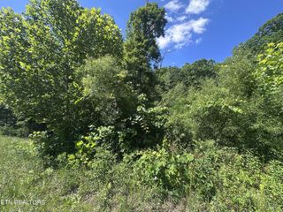 1020 Tomahawk Rd, Jamestown, TN 38556