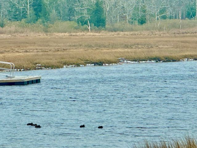 4 Roosevelt St, Wareham, MA 02571