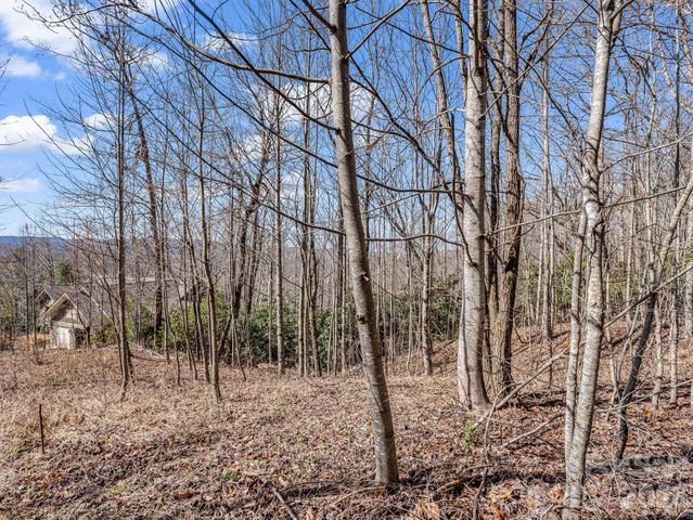 142 Mountain Elder Lane 79, Hendersonville, NC 28739