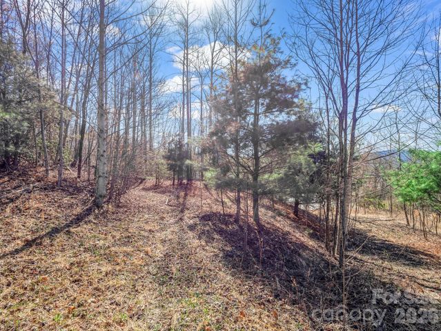 142 Mountain Elder Lane 79, Hendersonville, NC 28739
