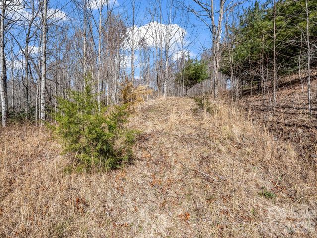 142 Mountain Elder Lane 79, Hendersonville, NC 28739