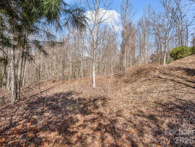 142 Mountain Elder Lane 79, Hendersonville, NC 28739