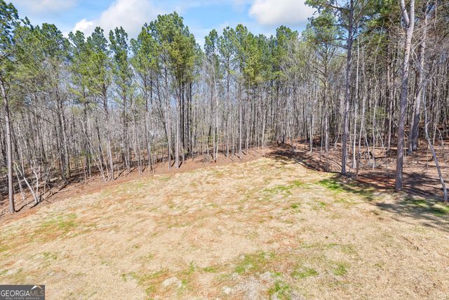1229 Morgans Run, Monroe, GA 30656