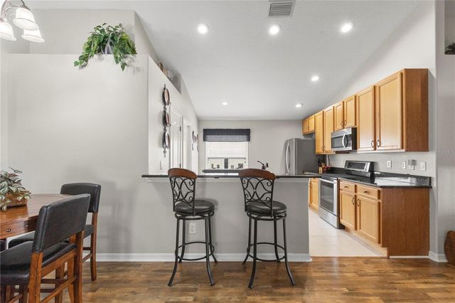 3911 LANGDRUM DRIVE, Wesley Chapel, FL 33543