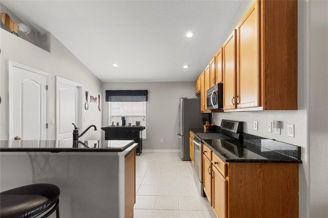 3911 LANGDRUM DRIVE, Wesley Chapel, FL 33543