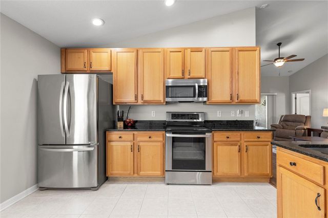 3911 LANGDRUM DRIVE, Wesley Chapel, FL 33543
