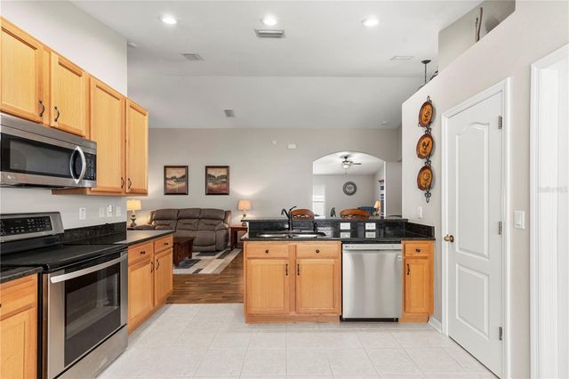 3911 LANGDRUM DRIVE, Wesley Chapel, FL 33543