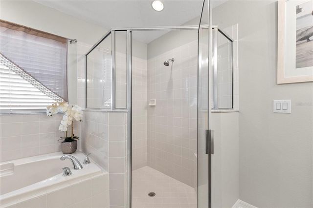 3911 LANGDRUM DRIVE, Wesley Chapel, FL 33543
