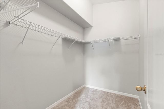 3911 LANGDRUM DRIVE, Wesley Chapel, FL 33543