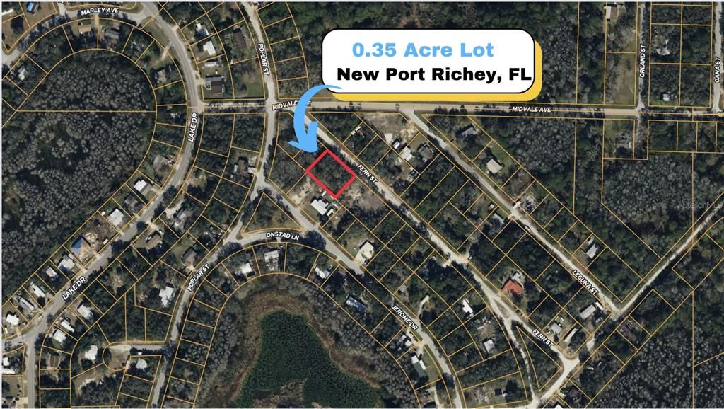 TBD FERN STREET, New Port Richey, FL 34654