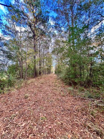 540 Cr 4677, Kennard, TX 75847