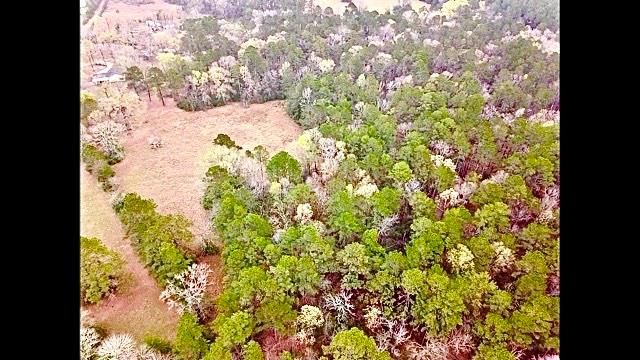 540 Cr 4677, Kennard, TX 75847