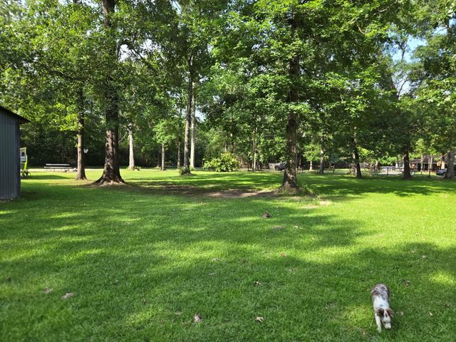 1123 County Road 2254, Cleveland, TX 77327