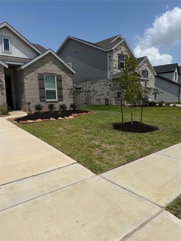 27222 Prairie Blazingstar Way, Hockley, TX 77447