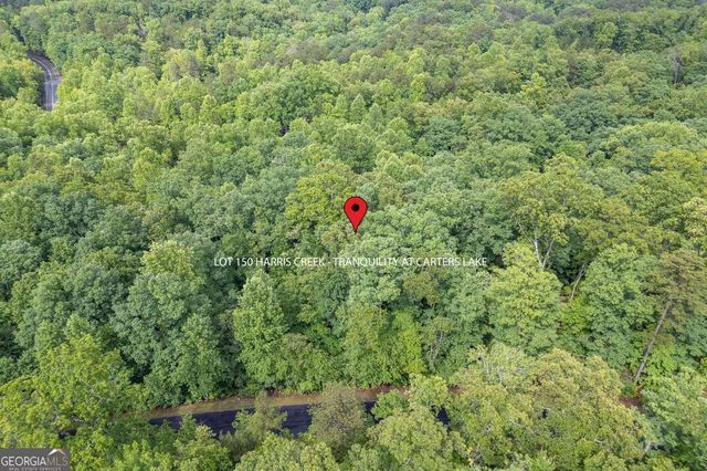 LOT 150 Tranquility @ Carters Lake, Ellijay, GA 30540