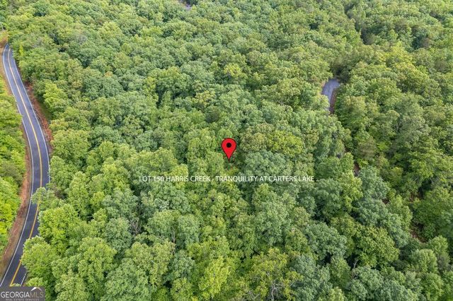 LOT 150 Tranquility @ Carters Lake, Ellijay, GA 30540