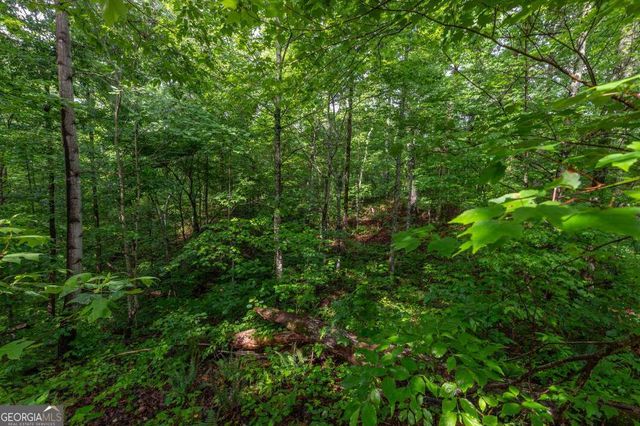 LOT 150 Tranquility @ Carters Lake, Ellijay, GA 30540
