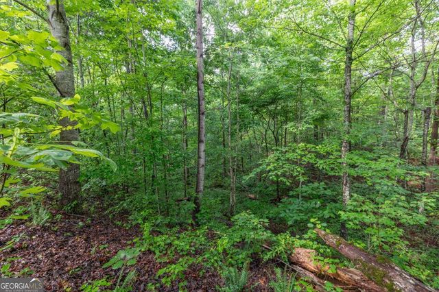 LOT 150 Tranquility @ Carters Lake, Ellijay, GA 30540