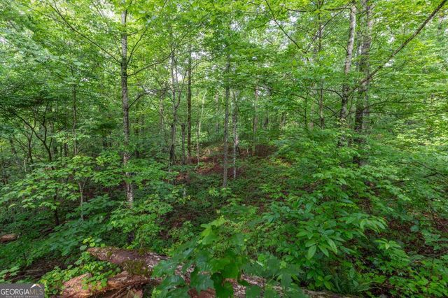 LOT 150 Tranquility @ Carters Lake, Ellijay, GA 30540