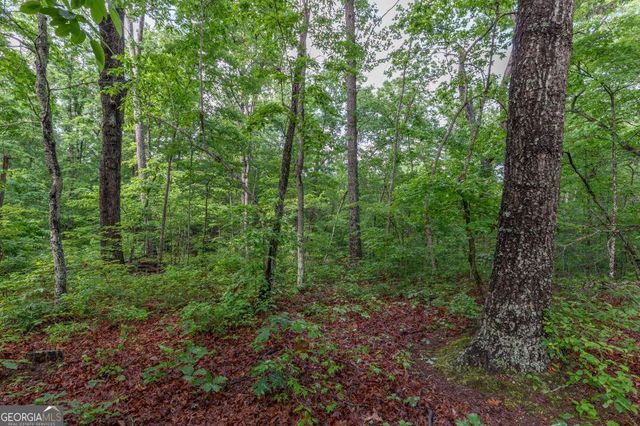 LOT 150 Tranquility @ Carters Lake, Ellijay, GA 30540