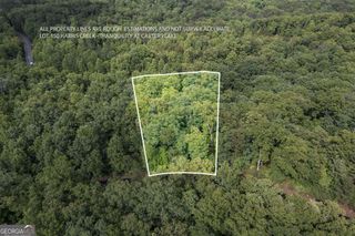 LOT 150 Tranquility @ Carters Lake, Ellijay, GA 30540