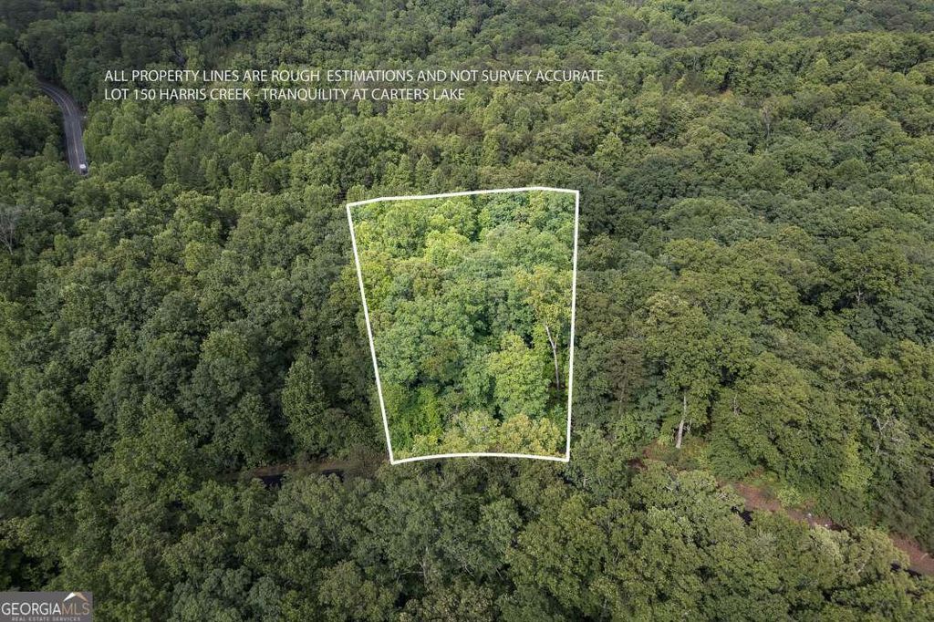 LOT 150 Tranquility @ Carters Lake, Ellijay, GA 30540