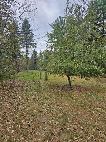 30409 County Highway 1, Maine Twp, MN 56586