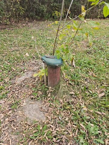 30409 County Highway 1, Maine Twp, MN 56586