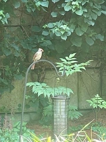 10 Shore Rd, Plymouth, MA 02360