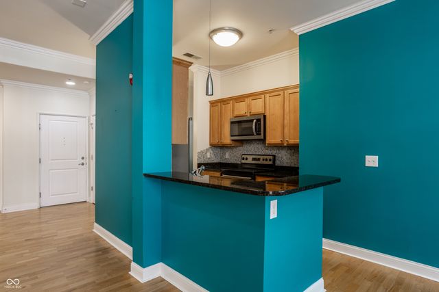 450 E Ohio Street 207, Indianapolis, IN 46204