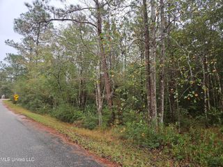 29211 Shenandoah Drive, Pass Christian, MS 39571