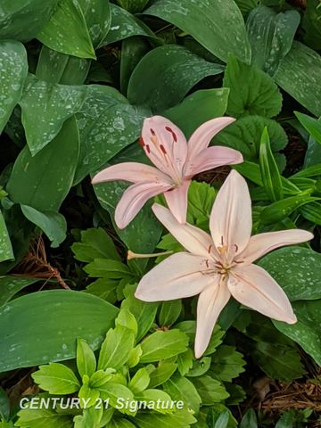 5808 Lantern Lane, Midland, MI 48642