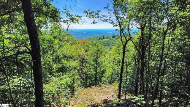 1321 Altamont Road, Greenville, SC 29609