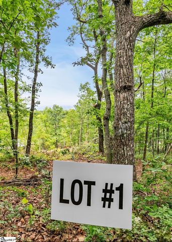 1321 Altamont Road, Greenville, SC 29609
