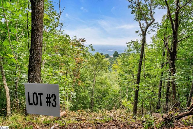 1321 Altamont Road, Greenville, SC 29609