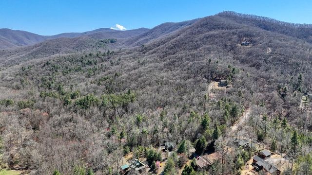 4852 Hf Lyons Road, Hiawassee, GA 30546